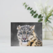 Snow Leopard Postkarte (Stehend Vorderseite)