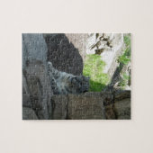 Snow Leopard Puzzle (Horizontal)
