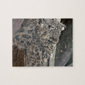 Snow Leopard Puzzle (Horizontal)