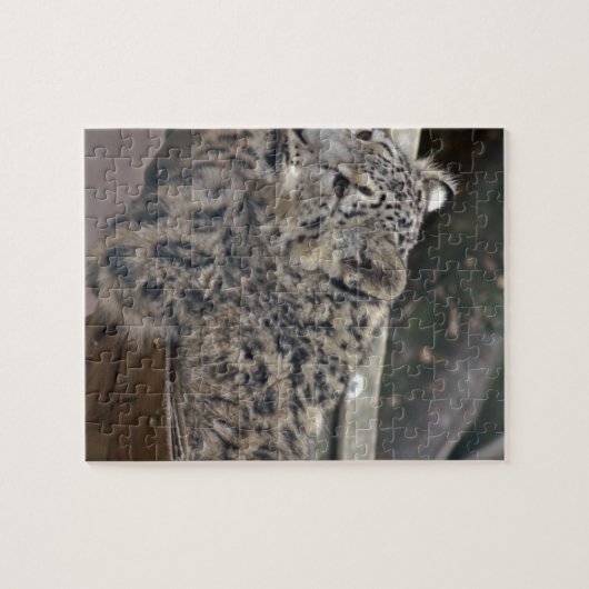 Snow Leopard Puzzle (Horizontal)