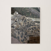 Snow Leopard Puzzle (Vertikal)