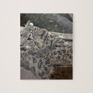 Snow Leopard Puzzle