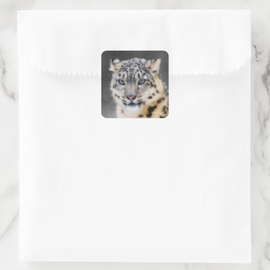 Snow Leopard Quadratischer Aufkleber (Tasche)