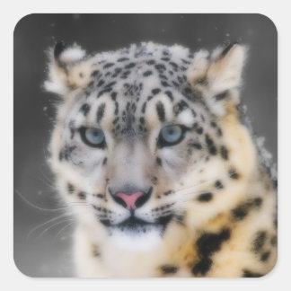 Snow Leopard Quadratischer Aufkleber