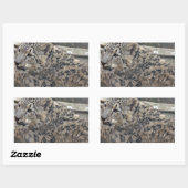 Snow Leopard Rechteckiger Aufkleber (Blatt)