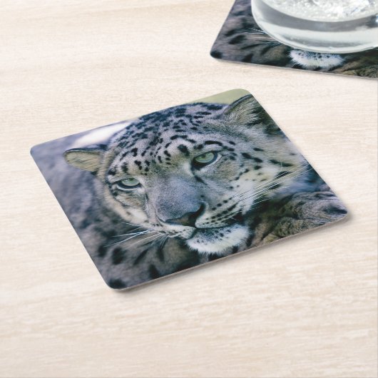 Snow Leopard-Schließung Rechteckiger Pappuntersetzer (angewinkelt)