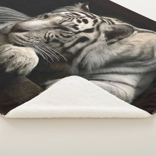 Snow Leopard Sherpadecke (3/4)