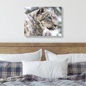 Snow Leopard Snow Portrait Leinwanddruck (Insitu (Schlafzimmer))