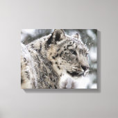 Snow Leopard Snow Portrait Leinwanddruck (Vorderseite)