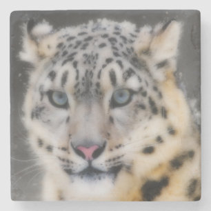 Snow Leopard Steinuntersetzer