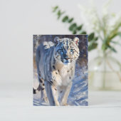 Snow Leopard Studie A - Öle Feiertagskarte (Stehend Vorderseite)
