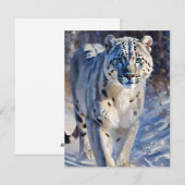 Snow Leopard Studie A - Öle Feiertagskarte (Vorne/Hinten)