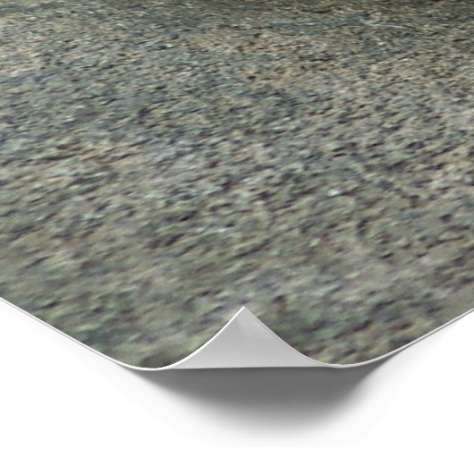 Snow Leopard - süße Träume Poster (Ecke)