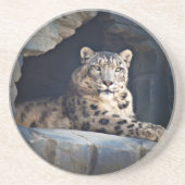 Snow Leopard Untersetzer (Vorne)