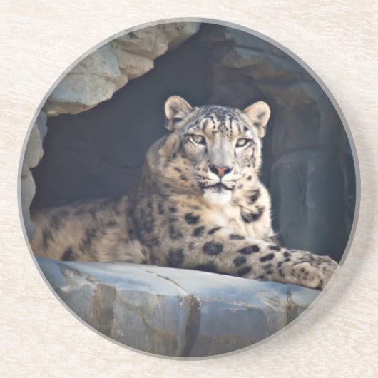 Snow Leopard Untersetzer (Vorne)