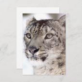 Snow Leopard Weihnachtskarte Dankeskarte (Vorne/Hinten)
