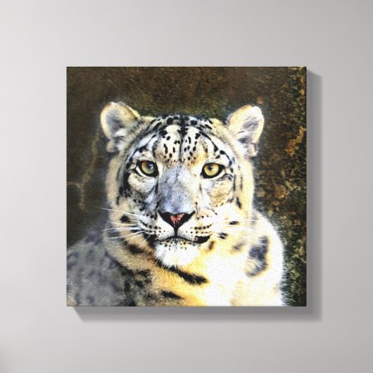 Snow Leopard Wrapped Canvas Leinwanddruck (Vorderseite)