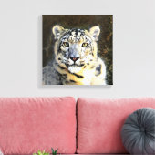 Snow Leopard Wrapped Canvas Leinwanddruck (Insitu (Wohnzimmer))