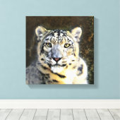 Snow Leopard Wrapped Canvas Leinwanddruck (Insitu (Holzboden))
