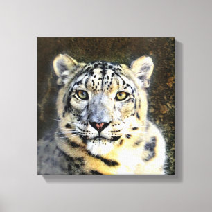 Snow Leopard Wrapped Canvas Leinwanddruck