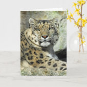 Snow Lepord Portrait Card Karte (Gelbe Blume)