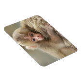 Snow Monkey Baby, Jigokudani, Nagano, Japan 2 Magnet (Rechte Seite)