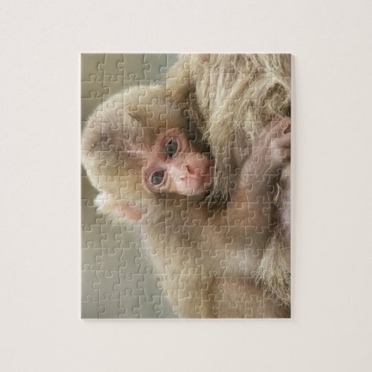 Snow Monkey Baby, Jigokudani, Nagano, Japan 2 Puzzle (Vertikal)