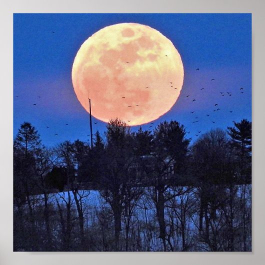 Snow Moon 2017 Poster (Vorne)