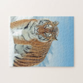 Snow Mountains Tierisches Foto Tiger Winter Puzzle (Horizontal)