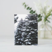 Snow On Firs Postkarte (Stehend Vorderseite)