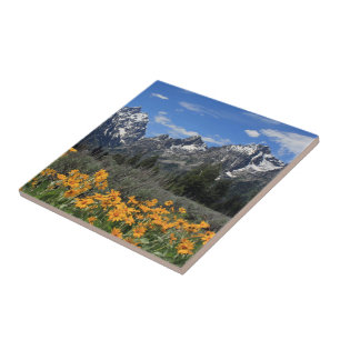 Snow on Grand Teton Nationalpark im Frühjahr Fliese