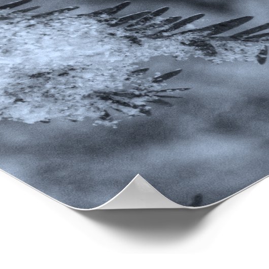 Snow on Pine Needles Poster (Ecke)