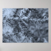 Snow on Pine Needles Poster (Vorne)