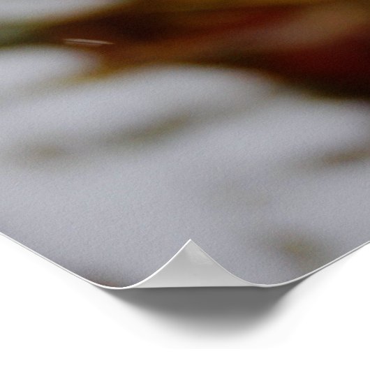 Snow on Red Leaves Poster (Ecke)