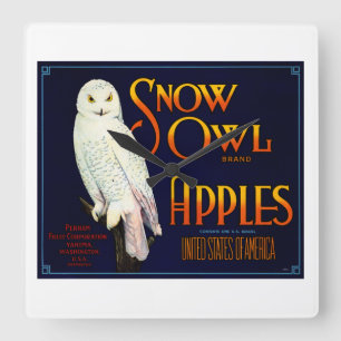 Snow Owl Apples Quadratische Wanduhr