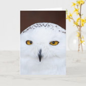 SNOW OWL BIRTHDAY CARD KARTE (Gelbe Blume)