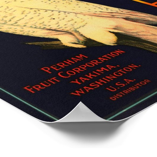 Snow Owl Brand Äpfel Yakima Washington Poster (Ecke)