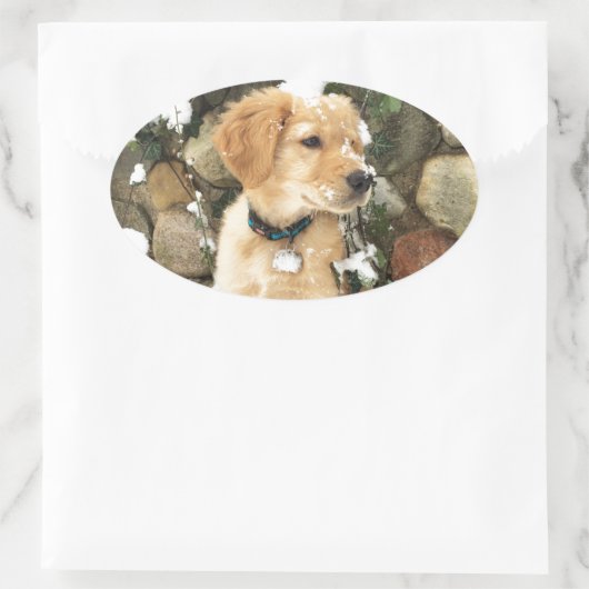 Snow Puppy Ovaler Aufkleber (Tasche)
