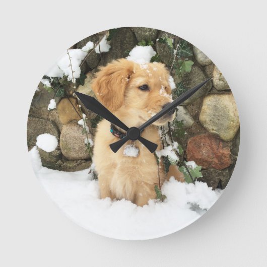 Snow Puppy Runde Wanduhr (Vorderseite)