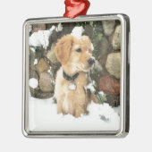Snow Puppy Silbernes Ornament (Links)