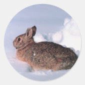 Snow Rabbit Weihnachtskarten-Umschlag Aufkleber (Vorderseite)