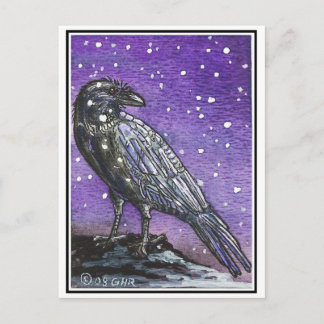 Snow Raven Postcard Postkarte