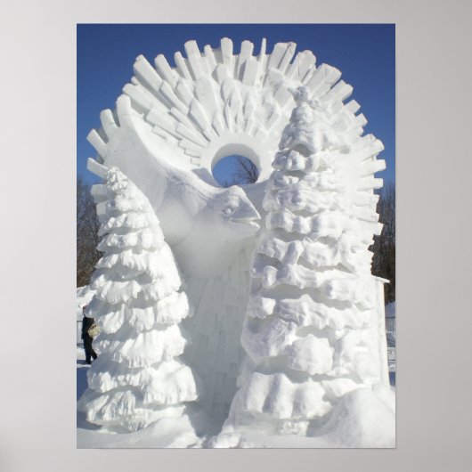 Snow Raven Poster (Vorne)