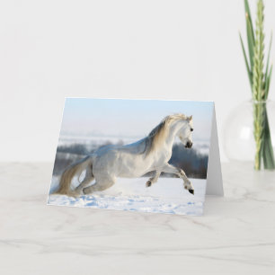 Snow Runner Feiertagskarte