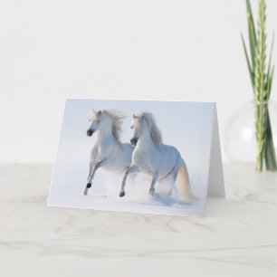 Snow Runners Feiertagskarte