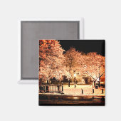 Snow Salem Common Massachusetts Photo Magnet (Vorderseite/Rückseite)