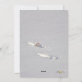 Snow Snowdog Design Feiertagskarte (Rückseite)