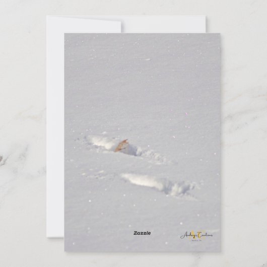 Snow Snowdog Design Feiertagskarte (Rückseite)