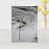 "Snow Sprout" Weihnachtskarte Karte (Gelbe Blume)