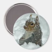 Snow Squirrel Magnet (Vorderseite/Rückseite)